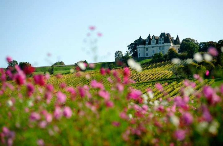 Séjour œnologique Bergerac - Dordogne