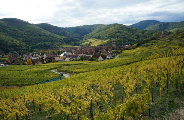 Journée visite sur Route des Vins d'Alsace