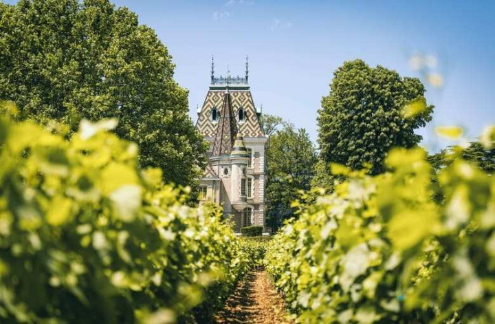 Journée visites sur la route des vins de Bourgogne