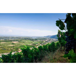 Une journée dans le vignoble de l'Hermitage