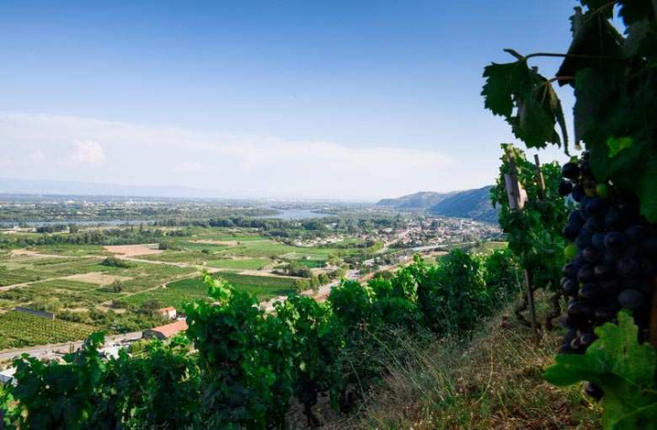 Une journée dans le vignoble de l'Hermitage