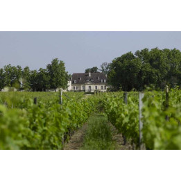 Balade dans les Graves - Journée autour du vin