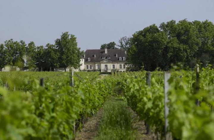 Balade dans les Graves - Journée autour du vin