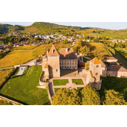 Dégustation de Grands Crus - Mâcon et Pouilly-Fuissé
