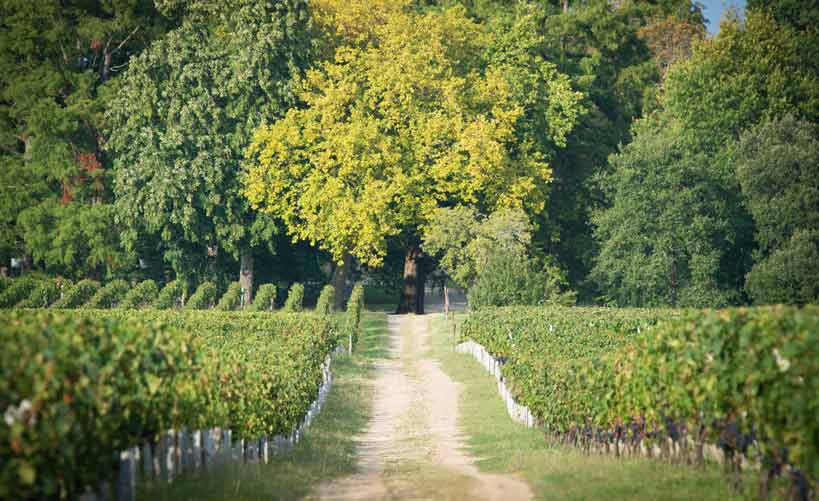 Château Siaurac