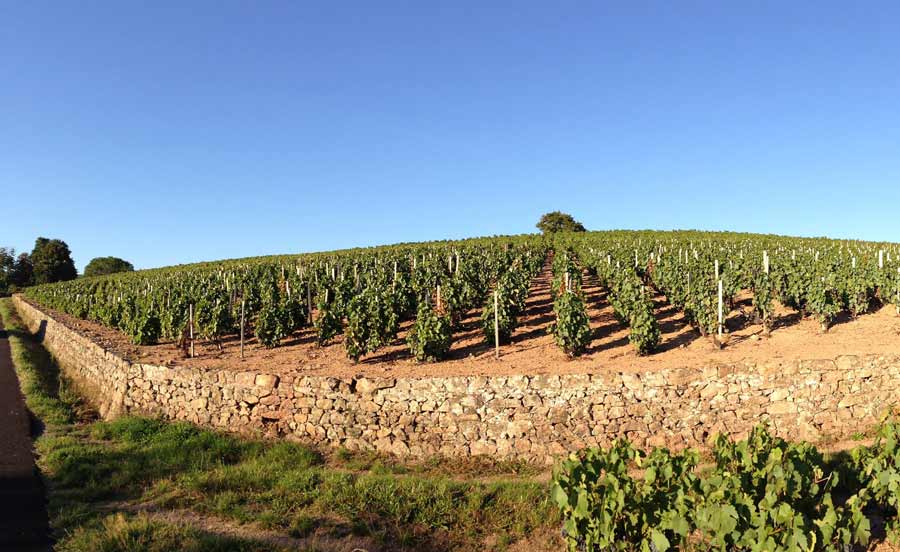 Domaine Steeve Charvet