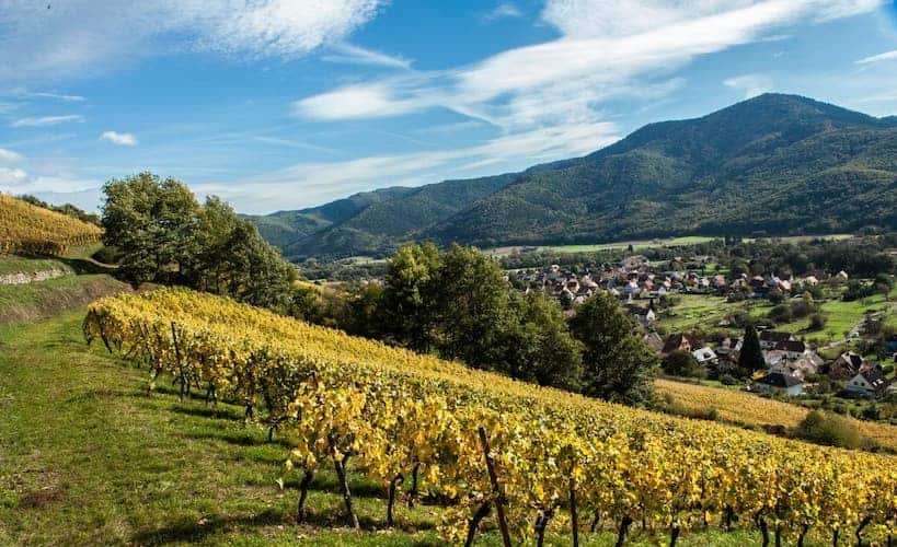 Domaine Schoenheitz