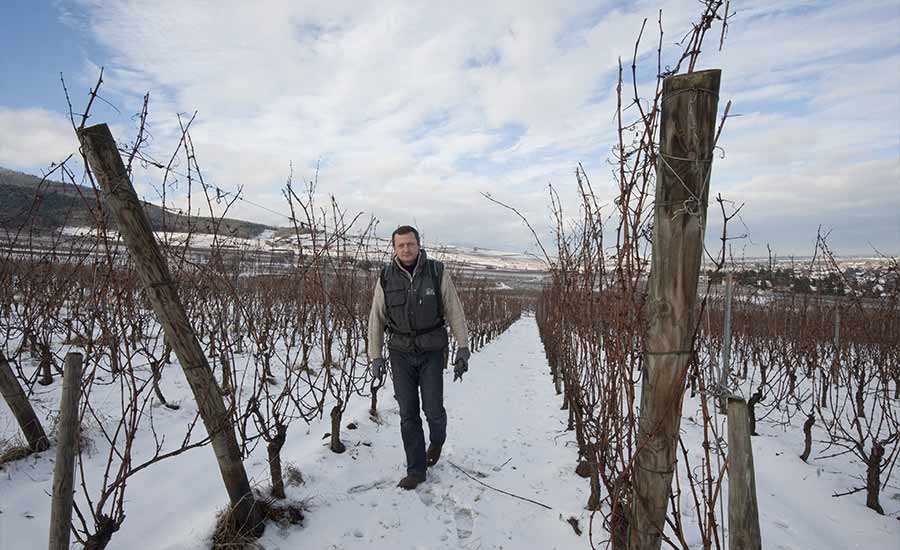 Domaine Stentz-Buecher